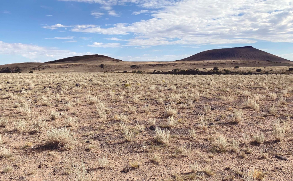 arid field